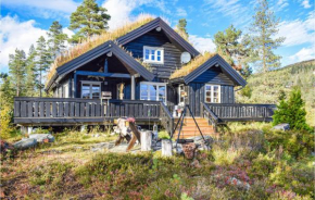 Nice home in Eggedal with Sauna, WiFi and 4 Bedrooms Eggedal